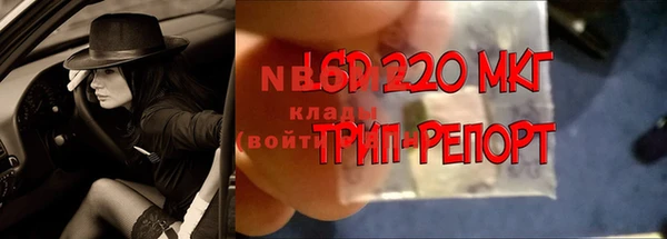сатива Алексеевка
