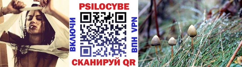 Галлюциногенные грибы MAGIC MUSHROOMS  закладки  Талица 